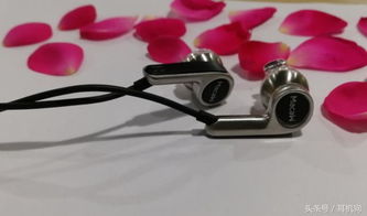 国产小美脉歌再推新作 MACAW RT 20单动圈Hi-Fi耳机，电子配件市场的璀璨明珠